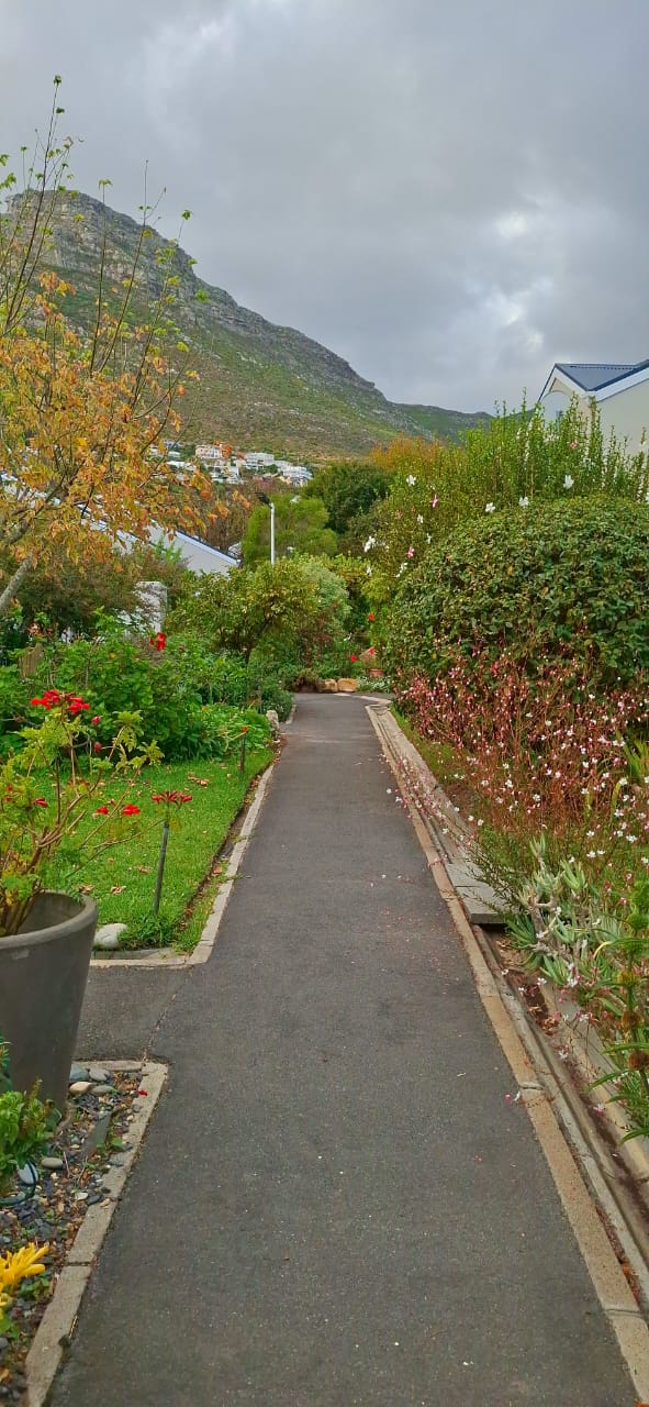 Garden pathway towards the mountains